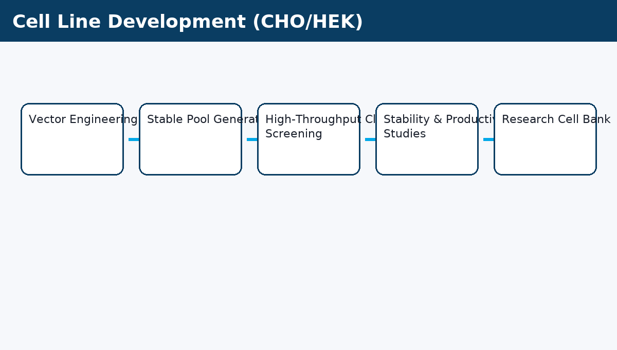 CLD workflow